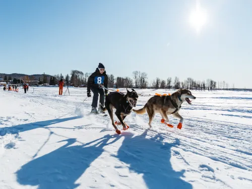 Murray Ridge Winterfest