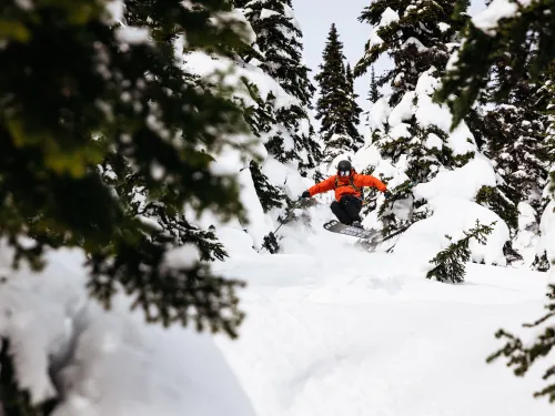 Powder King Skiing