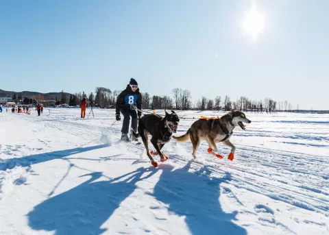 Murray Ridge Winterfest