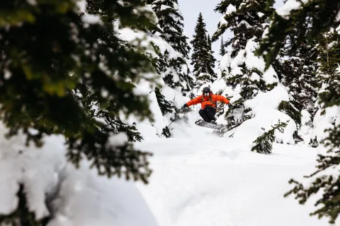 Powder King Skiing