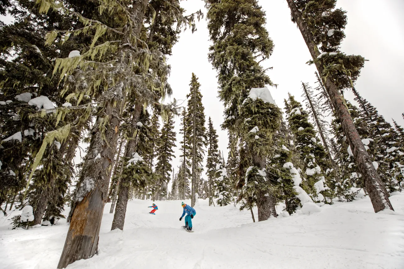 Snowboarding glades at Troll Ski Resort skinorthbc