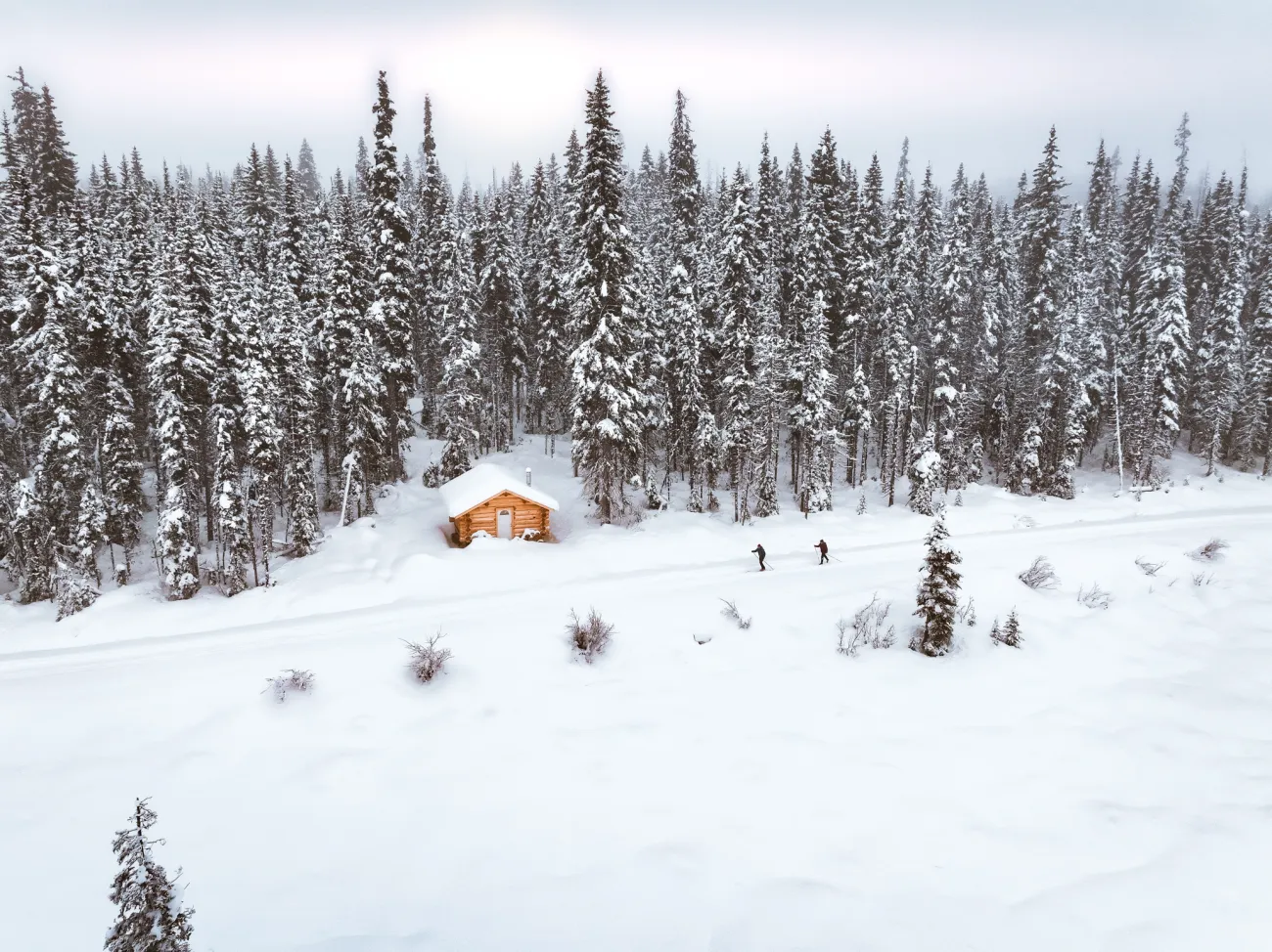 Martins Pass Hut, Wells and Area Trails society nordic trails