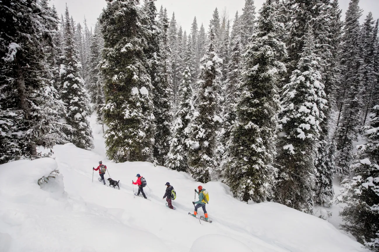 Snowshoe in Wells BC