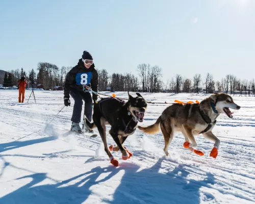 Murray Ridge Winterfest